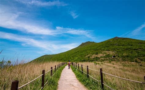 광주 무등산, 도시의 숨겨진 보석인가 아니면 단순한 등산로인가?