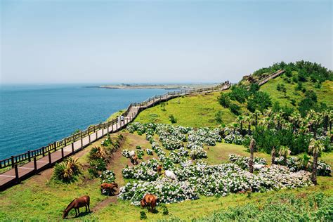 제주도 유명한 곳: 바람과 돌의 이야기